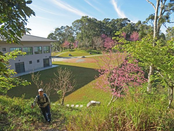 櫻花公園→藤枝山來回275355