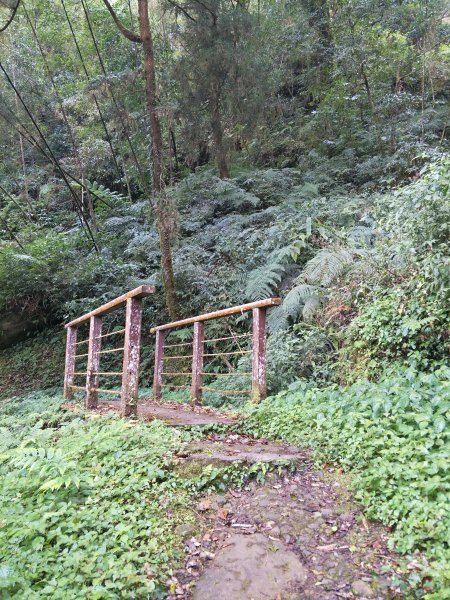 2019 02 26 奮起湖大凍山步道534577