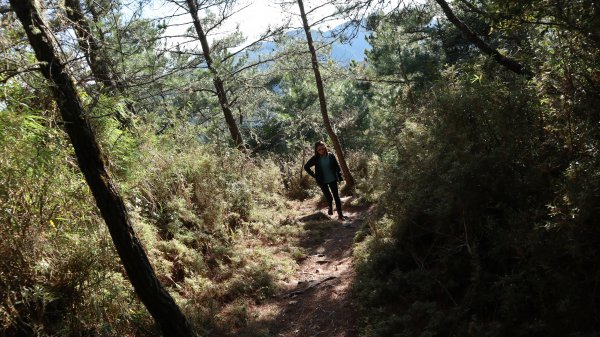 東埔山登山健行趣(中級山)2031807