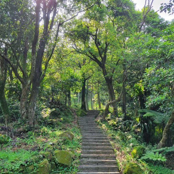 大尖山、四分尾山步道（小百岳）2132447