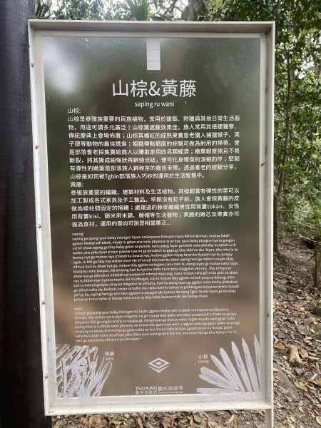 《雪山坑登山步道｜巨人之手森林秘境 Xueshankeng Hiking Trail & Giant2971073