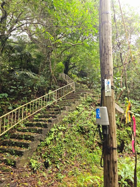 草嶺古道 - 2024草嶺古道芒花季2650882