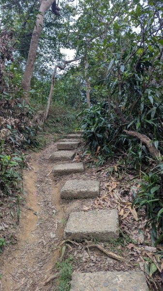 劍潭山親山步道2676465