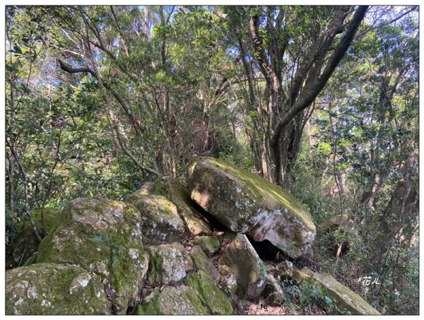 草嶺山、白石山、頭寮山 六連峰 O型路線2798644