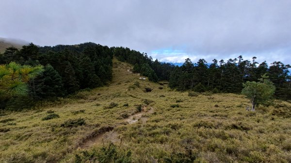 合歡西峰單攻1216879