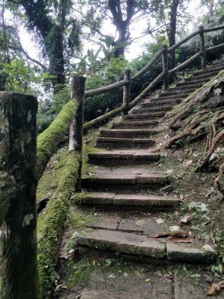 小百岳:`鯉魚山1609893