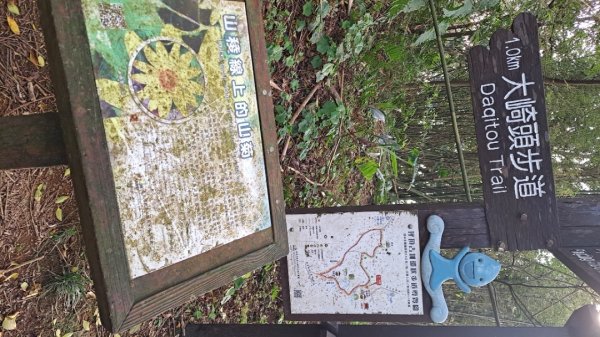 20240305坪頂古圳-登峰圳-內雙溪古道-瑪礁古道-大崎頭步道O繞2447237