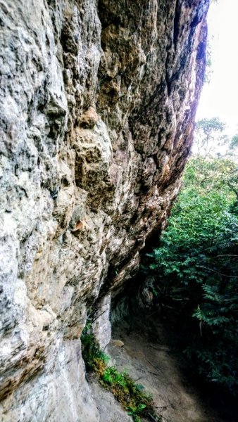 四分子古道、月扇湖山大岩壁O走1291815