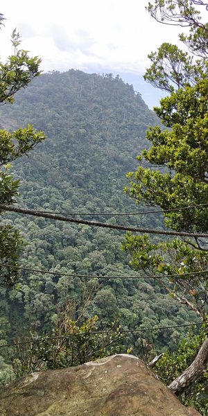 內鳥嘴山，北得拉曼神木群步道，瀑布初體驗1062606