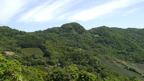 獅公髻尾山登山健行趣（郊山）1577784