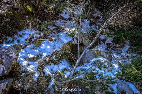 雪山東峰820967