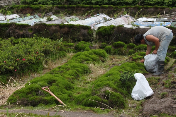 20160502台北陽明山-八煙聚落90729