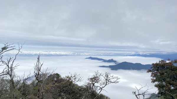 苗栗南庄加里山大坪線雲海上的聖誕節野餐趴1217107