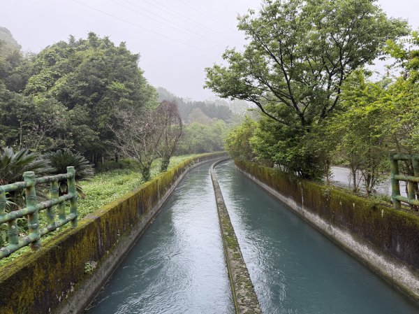[樟之細路_第一大段RSA05] 2026_0329 石門大圳3027184