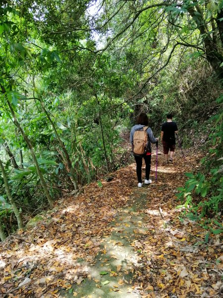 地震後的自然遺跡#47小百岳~九份二山749743