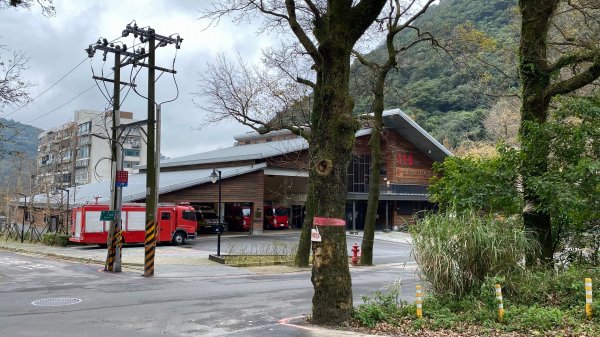 陽明山橫嶺古道|搭公車就能到京都嵐山竹林美景||澄園秘境賞梅前山公園悠閒野餐1603371