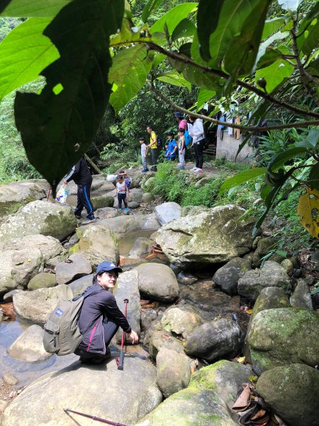 茶展中心步道1362627