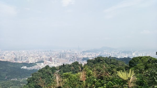 2018 11 16烘爐地登山步道(南勢角山)460878