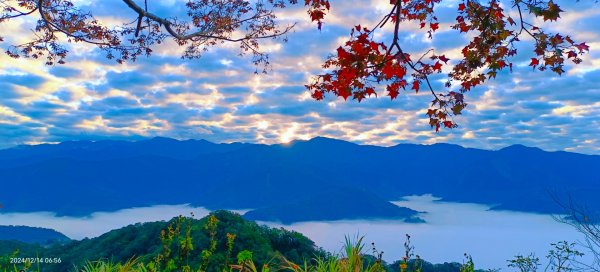 二訪馬拉邦山，解鎖 #琉璃光雲海 #日出雲海  #血月 #斜射光 #楓葉紅了！2668650