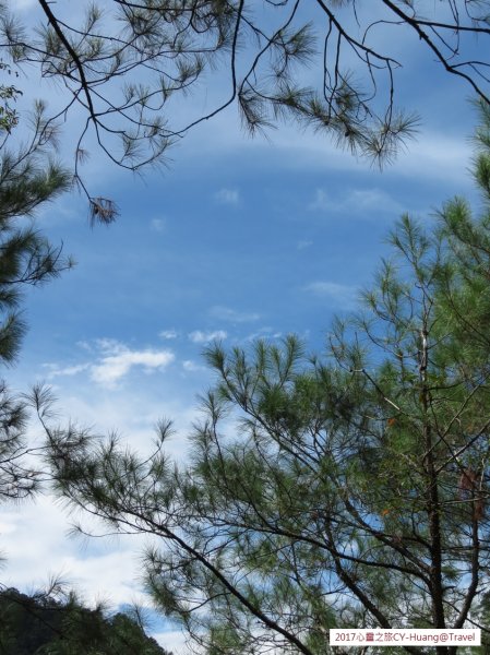 《南投》心靈之旅｜惠蓀林場步道群20171010-212890537