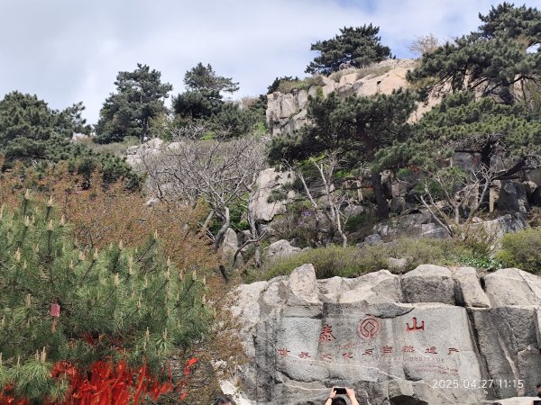 中國山東東嶽泰山風景區 (上山)