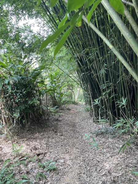 石笋古道O型2553830
