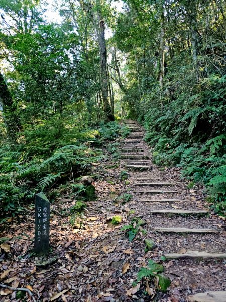 特富野古道-2024嘉遊好步道．來嘉走走2674379