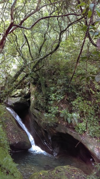滑瀑岩洞、溪水清澈的基隆暖東峽谷步道974251