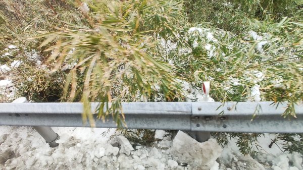 合歡山昆陽2701211