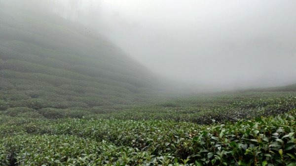 【梨子腳山】2019/11/02720202