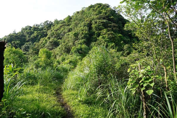 新北 瑞芳 粗坑口尖、碇內尖山、粗坑頭山、龍門山、滴水山2838282