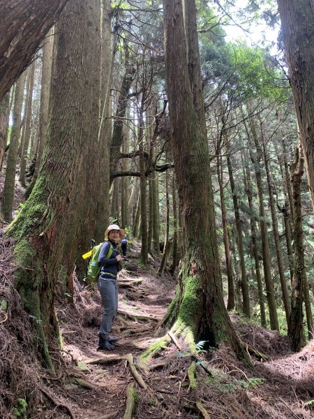 20250517義義兒玉山-東水山2791645