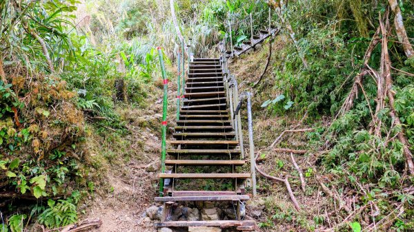 梅嶺竹子尖山2987437