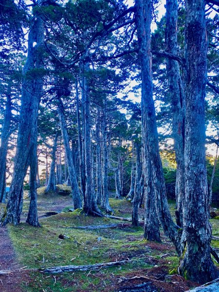 啟動高山度假模式~金牌三小隊之馬博橫斷8日2964999