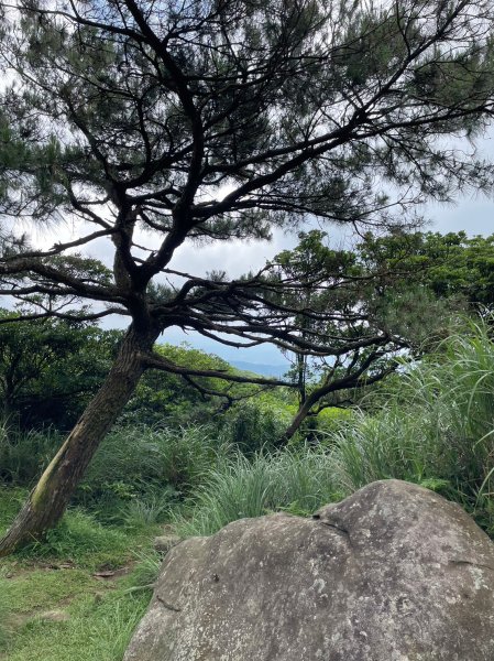 竹篙山山腰古道2204076