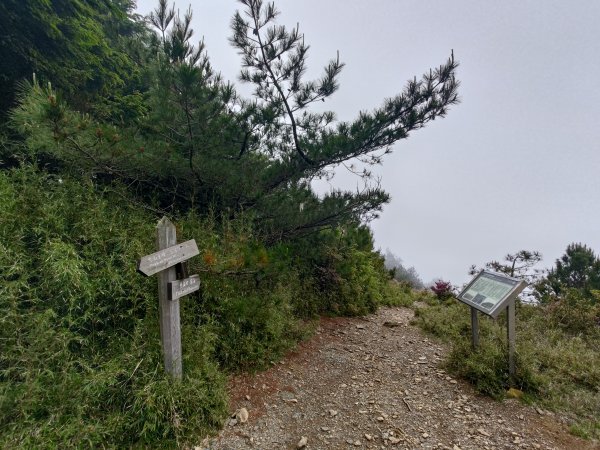 志佳陽大山登山步道2520072