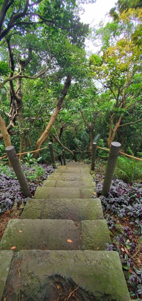2024-06-15觀音山【福隆山、尖山(占山)登山步道】O走2528217