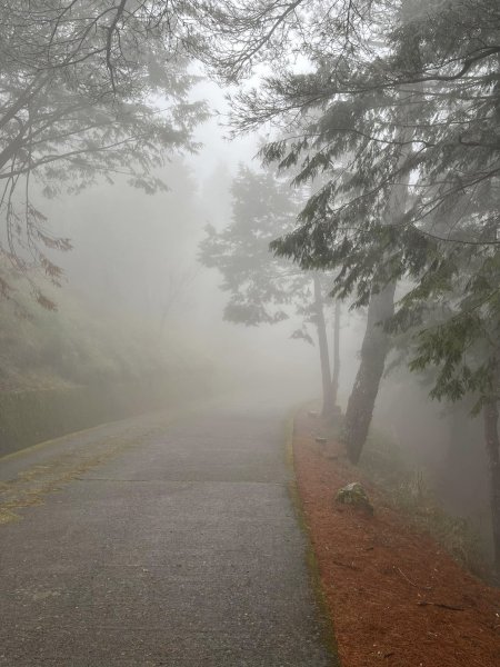 大雪山森林遊樂區2737480