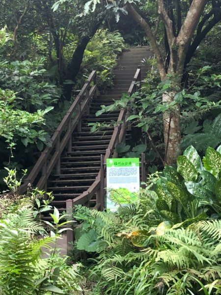 2019-08-10富陽公園、福州山656127