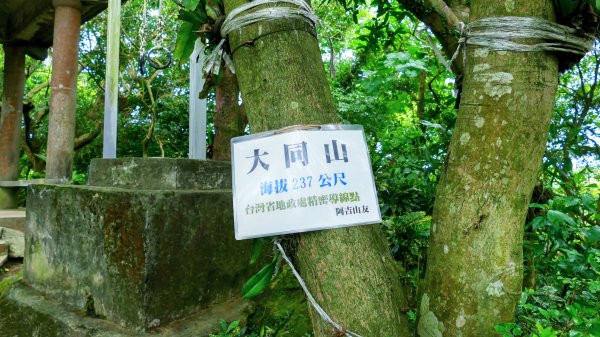 微笑山線405高地段2844159