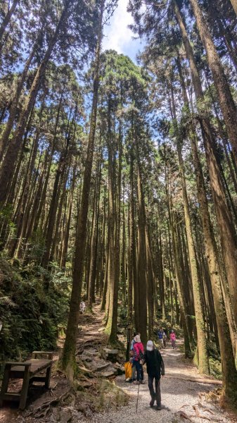 橫沙笛縱走 (木馬古道、橫嶺山、沙蓮山、笛吹山)2550366