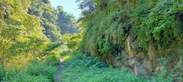 甕缸潭步道~塘湖古道~獨力山步道O形環狀995961