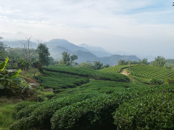 [高雄那瑪夏][二]河表湖前山東北、下河表湖山南、河表湖山、頂河表湖山、拉比嶺山