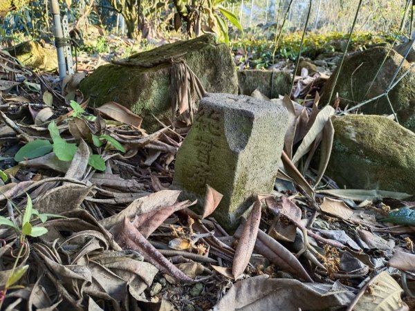 20230129台中太平大湖桶山2011041