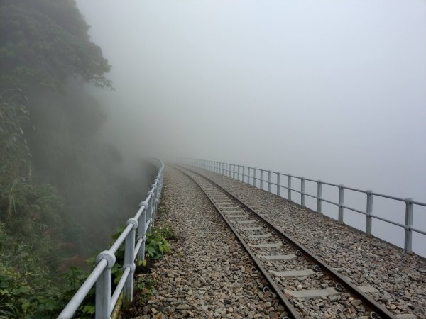 搭阿里山森鐵去登獨立山(小百岳#58)。走大巃頂賞茶園風光 (2020/11/8)1427679