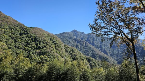 橫龍山 橫龍山北峰 騰龍山 龍年爬龍山2423204