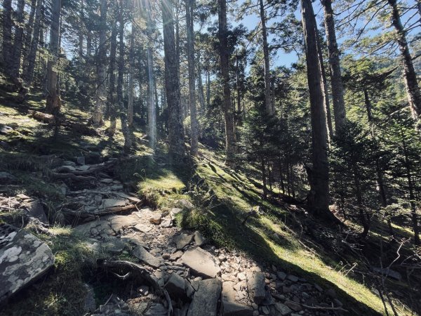 雪山西稜 2025 10/08 五天四夜2918469