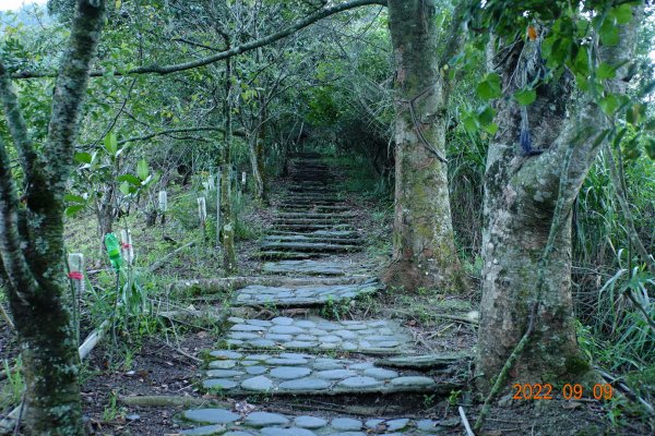 南投 信義 望美山、瓊山1839706