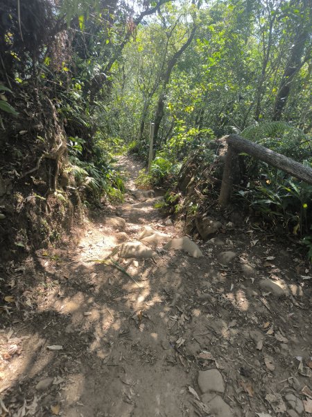 20251018微笑山線：【二格山系】皇帝殿稜線段2918656