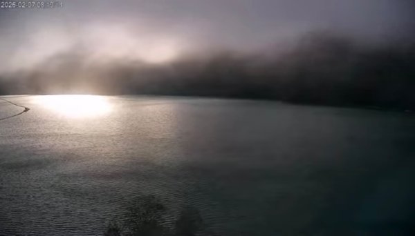 太、清、石2994643